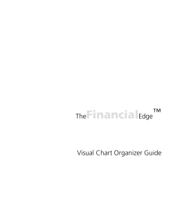 Financial Edge Visual Chart Organizer Guide