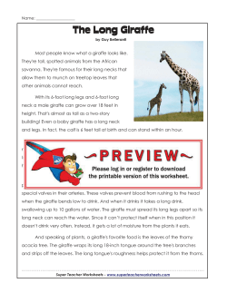 answer key - Super Teacher Worksheets