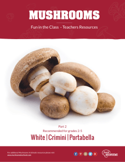 Mushrooms &ndash; Food in the Cafe, Fun in the Class