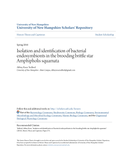 Isolation and identification of bacterial endosymbionts in the