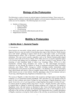 Biology of the Prokaryotes