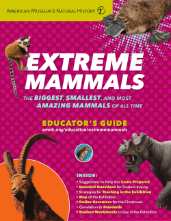 EXTREME MAMMALS - The Bullock Texas State History Museum