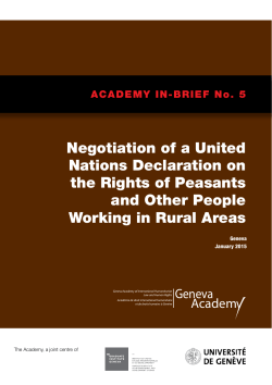Negotiation of a United Nations Declaration on the Rights