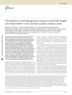 Plasmodium cynomolgi genome sequences provide insight