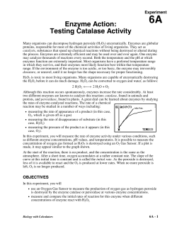 Enzyme Action: Testing Catalase Activity