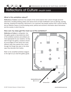 Reflections of Culture GALLERY GUIDE