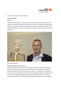 Johannes Streicher, Anatomist