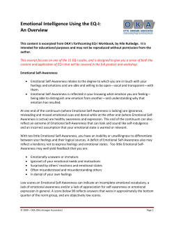 Emotional Intelligence Using the EQ-I: An Overview