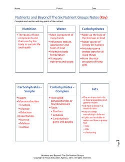 Nutrients and Beyond! The Six Nutrient Groups Notes (Key)