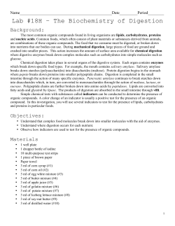 Lab 18H - The Biochemistry of Digestion