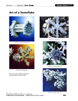 Art of a Snowflake