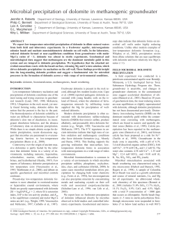 Microbial precipitation of dolomite in