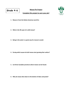 Moose Pin Project 4-6