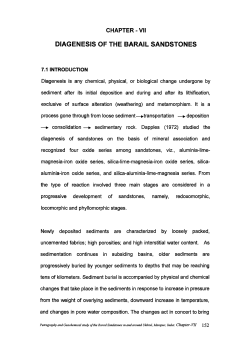DIAGENESIS OF THE BAR AIL SANDSTONES