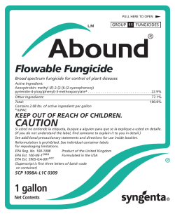 1 gallon Flowable Fungicide