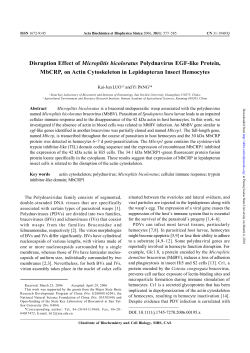 Disruption Effect of Microplitis bicoloratus Polydnavirus