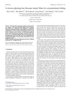 A crevice adjoining the ribosome tunnel: Hints for cotranslational