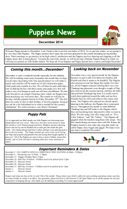 Puppies News Puppies News