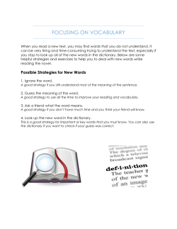 FOCUSING ON VOCABULARY