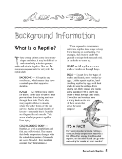 Students can learn all about reptiles with these reptile