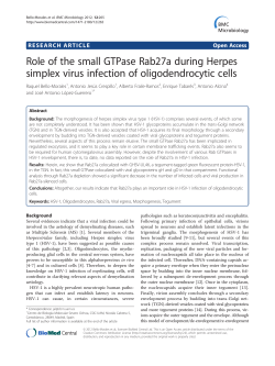 Role of the small GTPase Rab27a during Herpes simplex