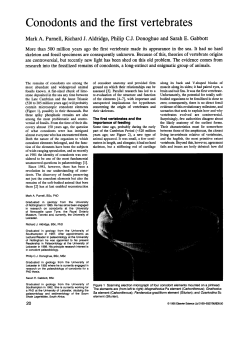 Conodonts and the first vertebrates