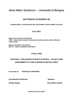 - AMS Dottorato