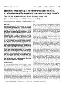 Real-time monitoring of in vitro transcriptional RNA synthesis using