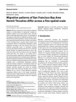 Migration patterns of San Francisco Bay Area Hermit Thrushes differ