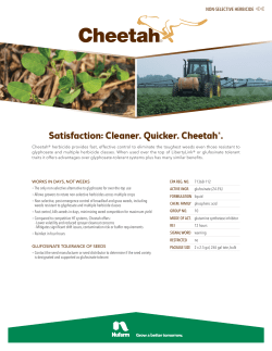 Satisfaction: Cleaner. Quicker. Cheetah&reg;.