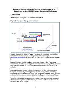 IHEC-MDWG-Recommendations