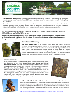 History and Natural Wonders at the Dismal Swamp