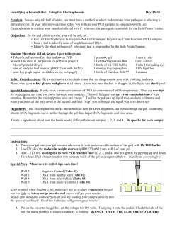 Identifying a Potato Killer: Using Gel Electrophoresis Day