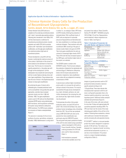 Chinese Hamster Ovary Cells for the Production of Recombinant