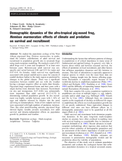 Demographic dynamics of the afro-tropical pig