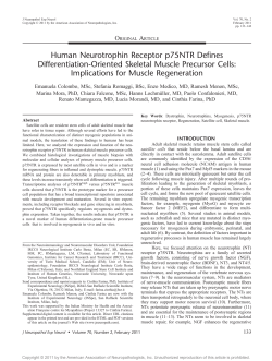 Human Neurotrophin Receptor p75NTR Defines Differentiation