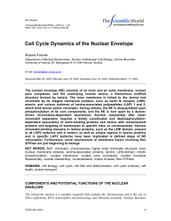 Cell Cycle Dynamics of the Nuclear Envelope