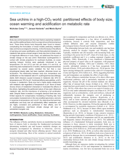 Sea urchins in a high-CO2 world: partitioned effects of body size