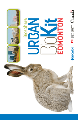 PDF (log book format)