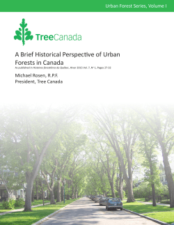 A Brief Historical Perspective of Urban Forests in
