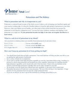 K and the Kidney 11022011