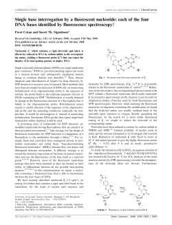 Single base interrogation by a fluorescent nucleotide: each of the