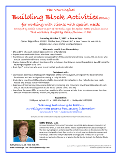 Building Block Activities(BBAs)