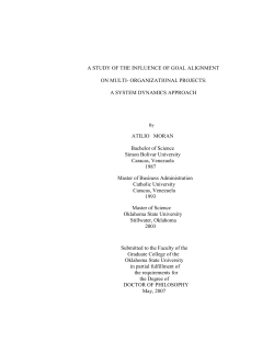 A STUDY OF THE INFLUENCE OF GOAL ALIGNMENT ON MULTI