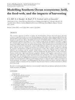 Modelling Southern Ocean ecosystems: krill, the food