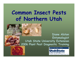 Common Insect Pests of Northern Utah - Utah Pests