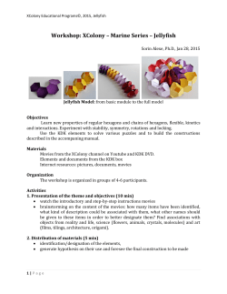 Workshop: XColony – Marine Series – Jellyfish