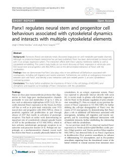 Panx1 regulates neural stem and progenitor cell