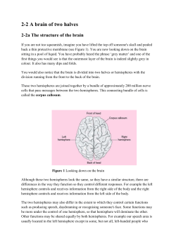 2-2 A brain of two halves