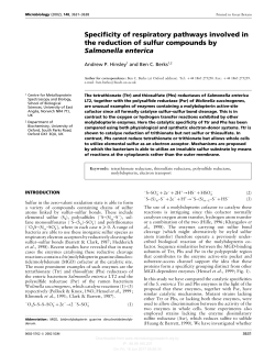 Specificity of respiratory pathways involved in the reduction of sulfur